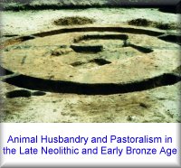 Animal Husbandry and Pastoralism in the Late Neolithic and Early Bronze Age.