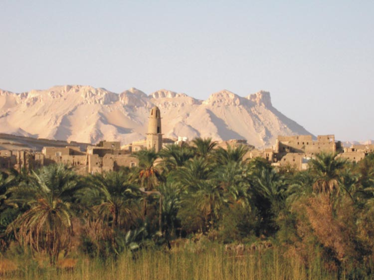 In search of prehistoric Saharan art. The Petroglyph's Decoding