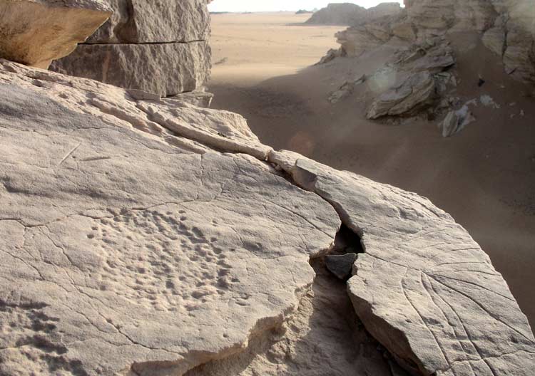 In search of prehistoric Saharan art. The Petroglyph's Decoding