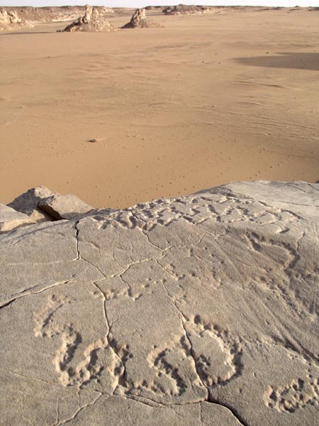 In search of prehistoric Saharan art. The Petroglyph's Decoding