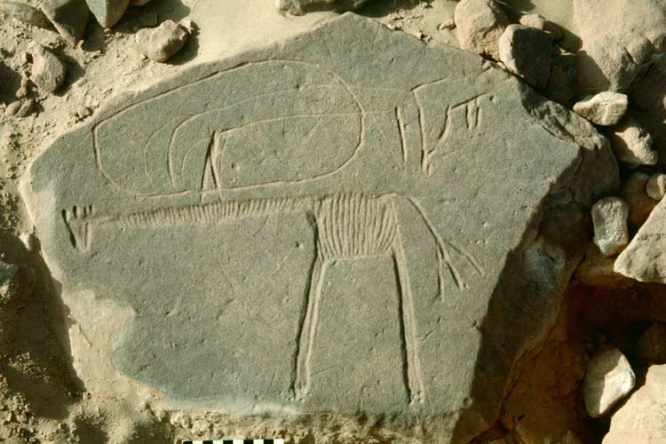 In search of prehistoric Saharan art. The Petroglyph's Decoding