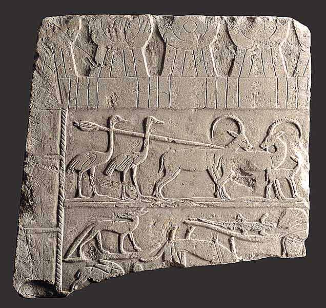 Death and Life in Ancient Egypt - Nature and Everyday Life