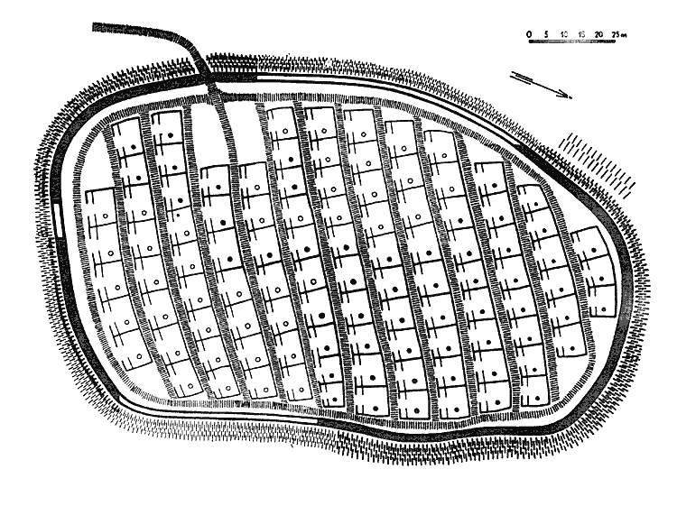 Prehistory of Wielkopolska (Greater Poland) - Bronze & Dawn of Iron Age