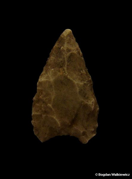 Prehistory of Wielkopolska (Greater Poland) - Neolithic