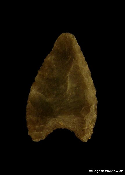 Prehistory of Wielkopolska (Greater Poland) - Neolithic