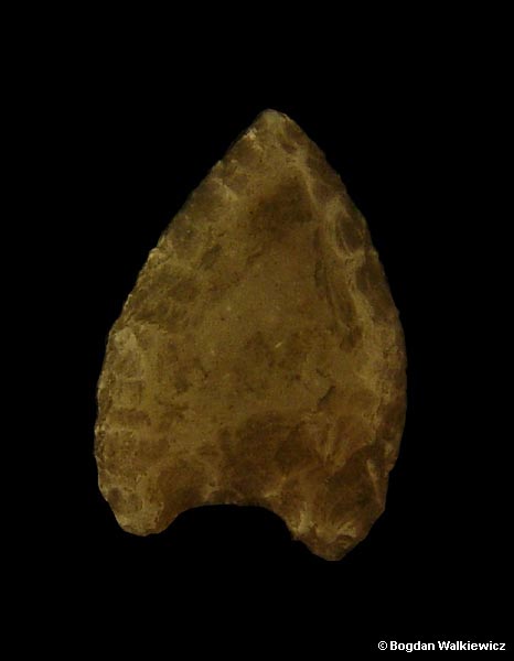 Prehistory of Wielkopolska (Greater Poland) - Neolithic