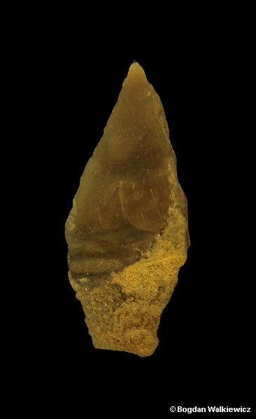 Prehistory of Wielkopolska (Greater Poland) - Palaeolithic