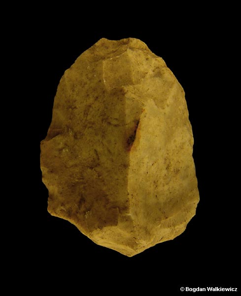 Prehistory of Wielkopolska (Greater Poland) - Palaeolithic