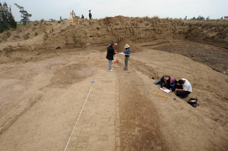 Badania wykopaliskowe Muzeum Archeologicznego w Poznaniu w Tell el-Farcha. Sezon 2012