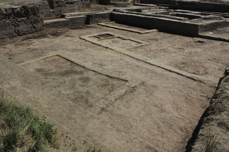 Badania wykopaliskowe Muzeum Archeologicznego w Poznaniu w Tell el-Farcha. Sezon 2012