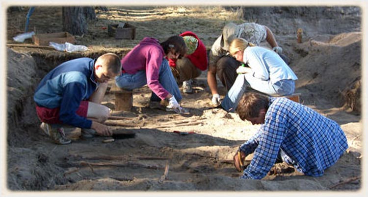 Badania archeologiczne na Nizinie Wielkopolsko-Kujawskiej - Sezony 2008-2009